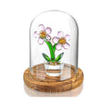 Wholesale Custom Glass Dome with Wooden Base - Factory Direct Display Cloche - Fast Lead Time High-Quality Preserved Rose Glass Shield